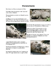 Warzenschwein-Steckbrief.pdf